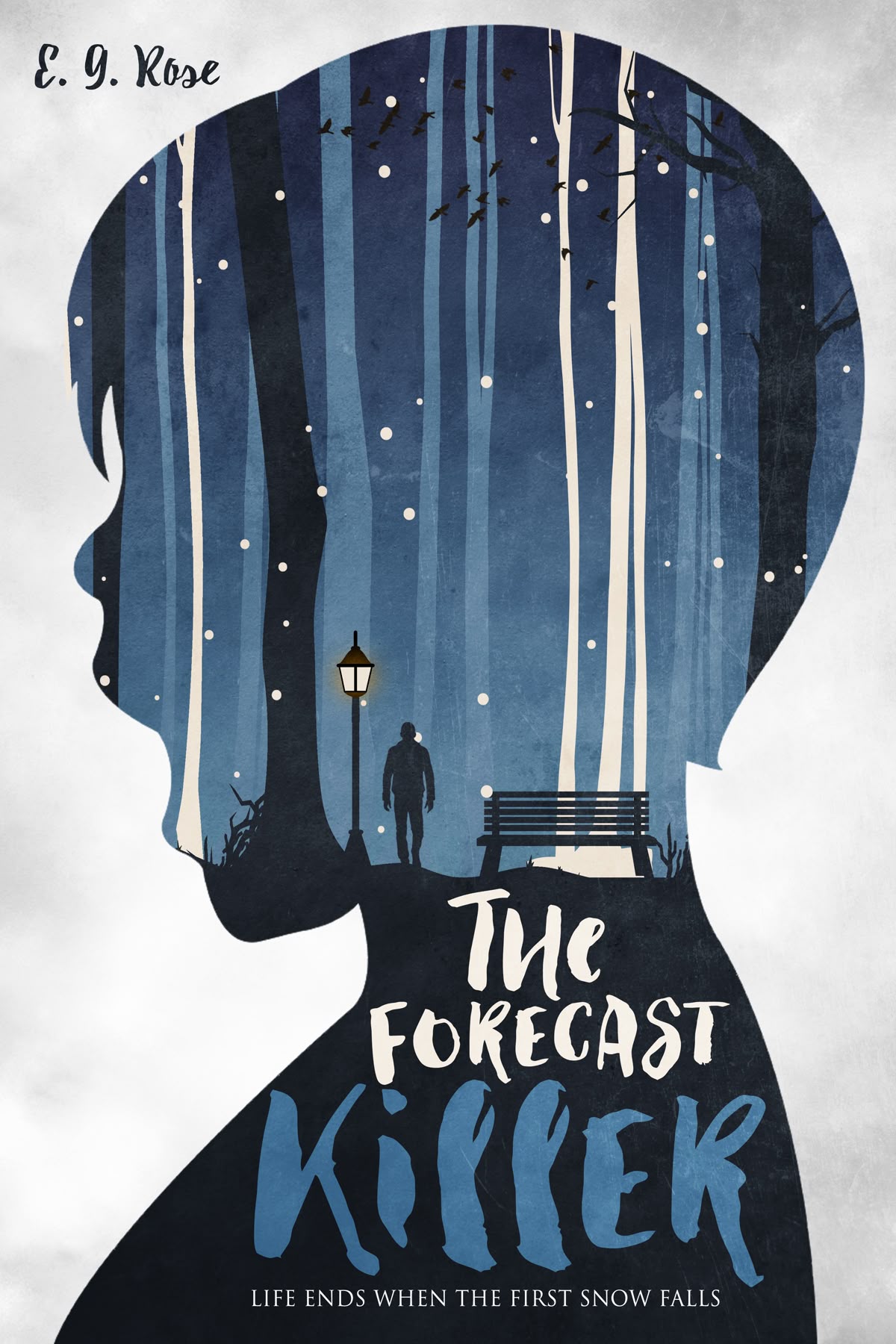 The Forecast Killer psychological thriller book cover
